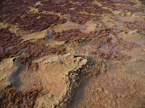 Closeup of rock patterns dried earth forming a Mars like landscape in Danakil Stock Photos