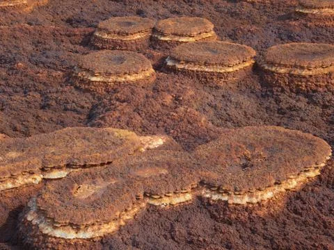 Closeup of rock patterns forming Mars like landscape Danakil Depression Stock Photos