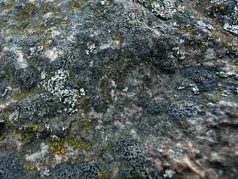 Closeup rock texture Stock Photos