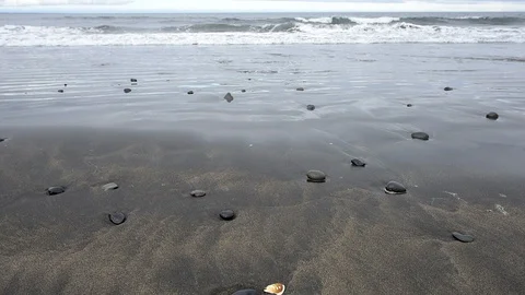 Closeup of rocks on sand beach coast in north west Iceland Stock Footage 93786112
