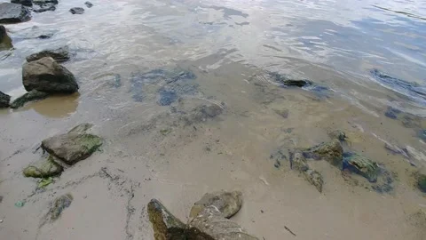 Closeup of a rocks on seashore 库存影片 169047912