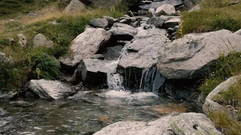 Closeup on a rocky mountain stream in alpine meadow Stock-Footage 251556029
