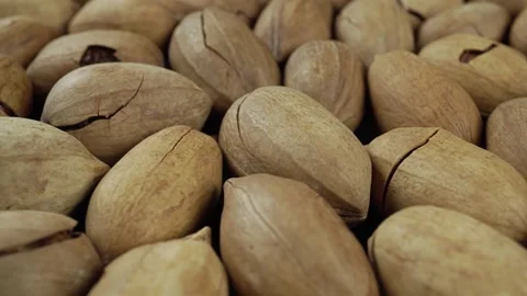 Closeup Of Rotating Pecan In Shell. Stock Footage 242839794