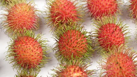 Closeup of Rotating Ripe Red Rambutans Arranged on White Background Stock Footage 336310293