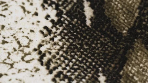 Closeup rotation fabric with pattern imitating reptile skin. snake skin pattern Stock Footage 256623238
