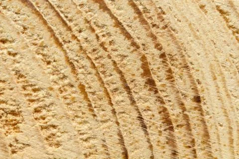 Closeup of rough-hewn pine tree texture Stock Photos