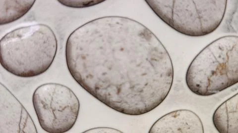 A closeup of a round ceramic plate with a pattern, isolated textured background Stock Photos