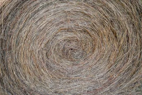 Closeup Round Haybale Stock Photos
