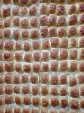 Closeup of Rows of bread-like or bun-like objects arranged neatly .Pav Stock Photos