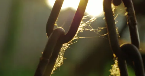 Closeup of rusted chain with spider web Stock Footage 64140732