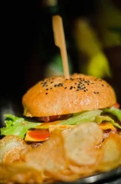 Closeup on a rustic hamburger with fires in front Stock Photos