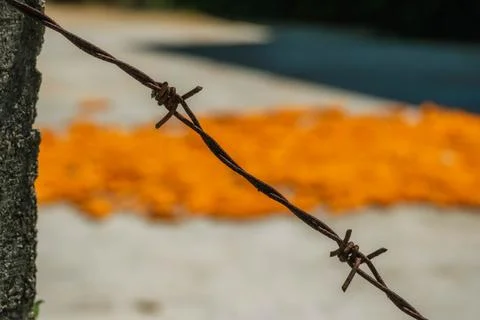 Closeup of a rusty barbed wire strand attached to a rough concrete post Stock-Fotos