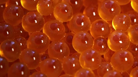 Closeup of the salmon red caviar with changing light Stock Footage 263654052