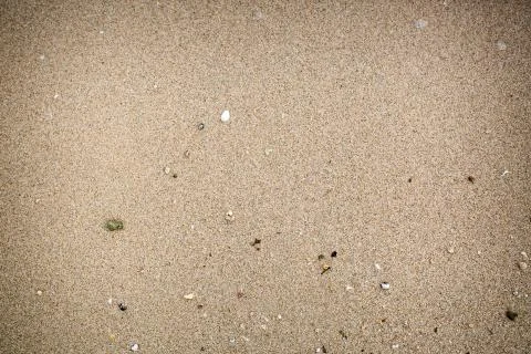Closeup  sand and some shell Stock Photos