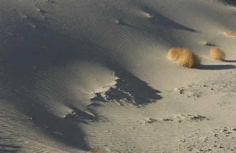 Closeup Of Sand Stock-Fotos