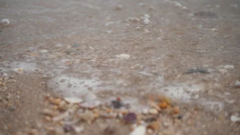 Closeup sand shells and sea 動画素材 244148105