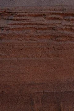 Closeup Sand Texture Background with Fine Grains and Sea Shells Stock Photos