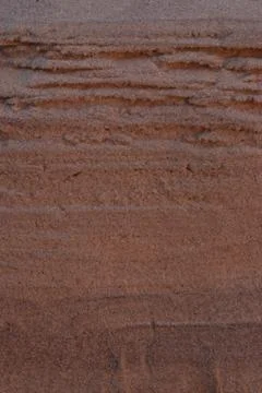 Closeup Sand Texture Background with Fine Grains and Sea Shells Stock Photos