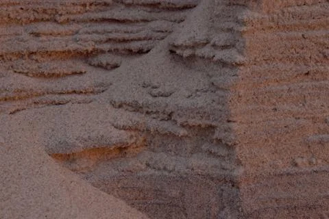 Closeup Sand Texture Background with Fine Grains and Sea Shells Stock Photos