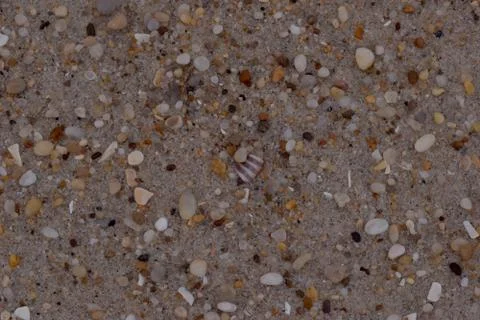 Closeup Sand Texture Background with Fine Grains and Sea Shells Stock Photos
