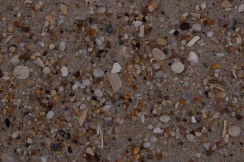 Closeup Sand Texture Background with Fine Grains and Sea Shells Stock Photos