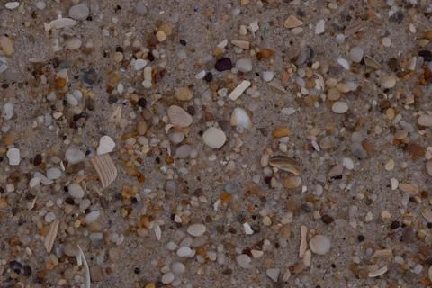 Closeup Sand Texture Background with Fine Grains and Sea Shells Stock Photos