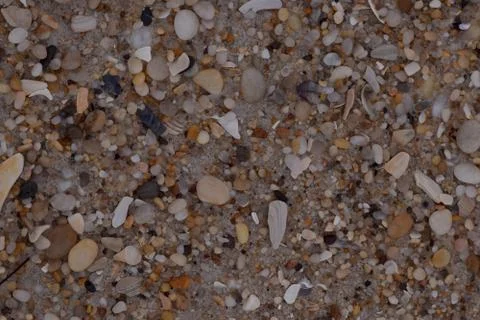 Closeup Sand Texture Background with Fine Grains and Sea Shells Stock Photos