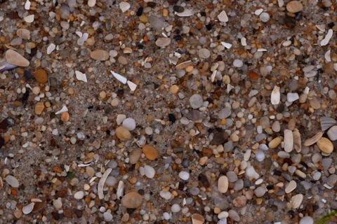 Closeup Sand Texture Background with Fine Grains and Sea Shells Stock Photos