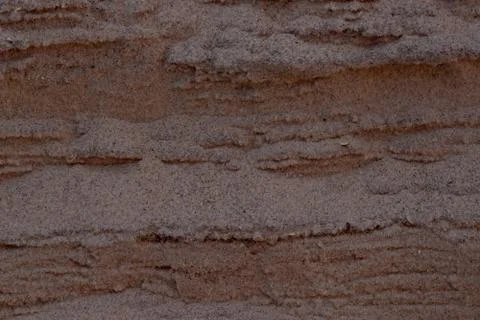 Closeup Sand Texture Background with Fine Grains and Sea Shells Stock Photos