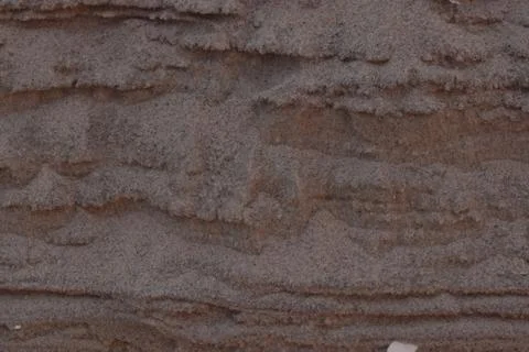 Closeup Sand Texture Background with Fine Grains and Sea Shells Stock Photos