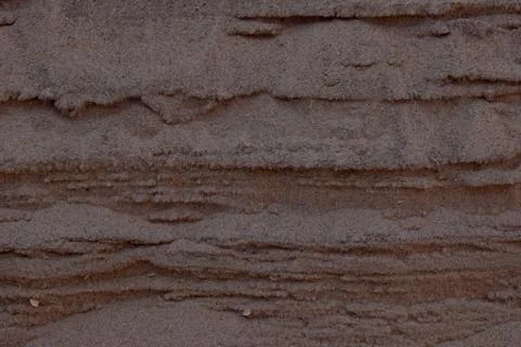 Closeup Sand Texture Background with Fine Grains and Sea Shells Stock Photos