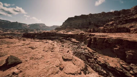 Closeup of sandstone with complex erosion and pattern details Stock Footage 331523374