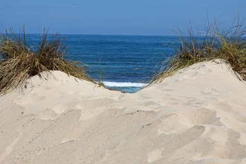 Closeup of a sandy beach in the daylight Stock Photos