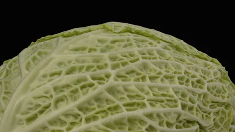 Closeup of savoy cabbage head rotating on black background. Stock-Footage 170257686
