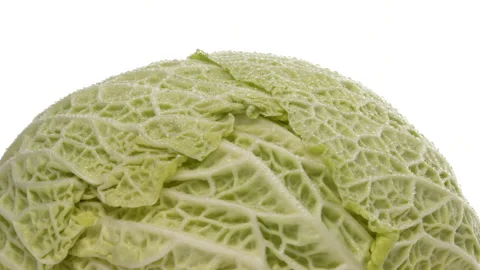 Closeup of savoy cabbage head rotating. Water drops. Isolated on white Stock Footage 170263130