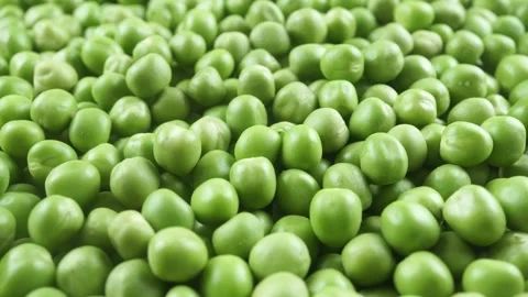Closeup of a Scattering of Fresh Green Peas. Видео 339030563