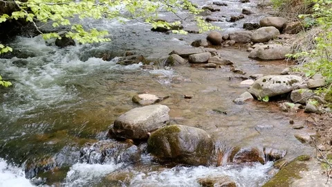 Closeup of scenic stream flow Stock Footage 108443611
