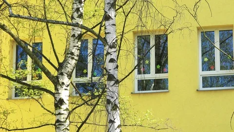Closeup on school windows decorated with children's creations on a sunny day Stock Footage 79522270