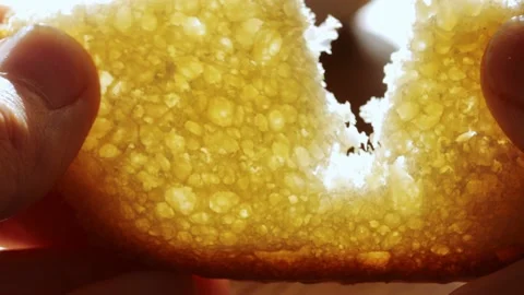 A closeup schot of a bread Stock Footage 235154526