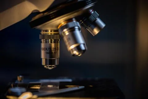 Closeup of Scientific microscope data analysis in the laboratory Stock Photos