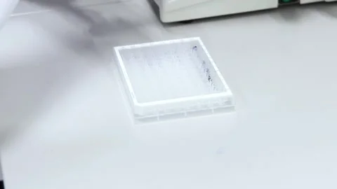 Closeup Scientist analyzing samples in microplate using micropipette in lab.. Stock Footage 296884307