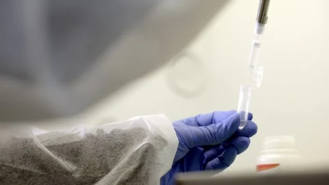 Closeup of scientist hands working in laboratory with pipette Stock Footage 262253406