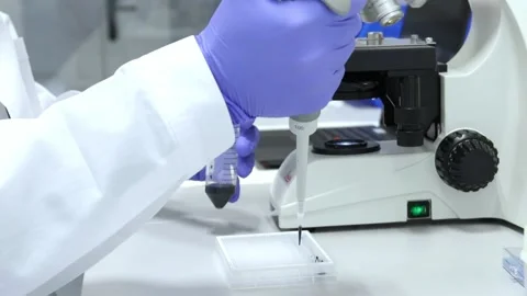 Closeup Scientist placing drops of sample on microscope slide in laboratory Stock Footage 296884324