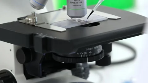 Closeup Scientist placing sample on microscope slide in laboratory Stock Footage 296884276