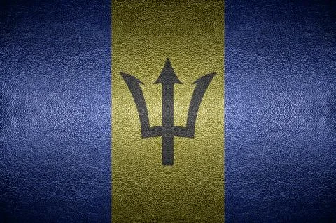 Closeup screen barbados flag concept on pvc leather for background Stock Illustration