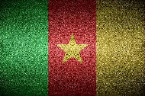 Closeup screen cameroon flag concept on pvc leather for background Stock Photos