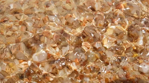 Closeup of the seabed Stock-Footage 109119108