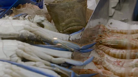 Closeup of seafood at market Stock Footage 90407251