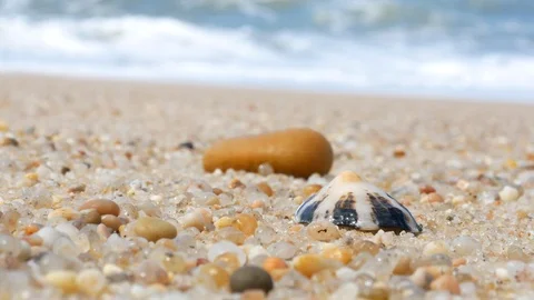 Closeup of seashell and pebble on beach with waves breaking in background Stock Footage 108195498