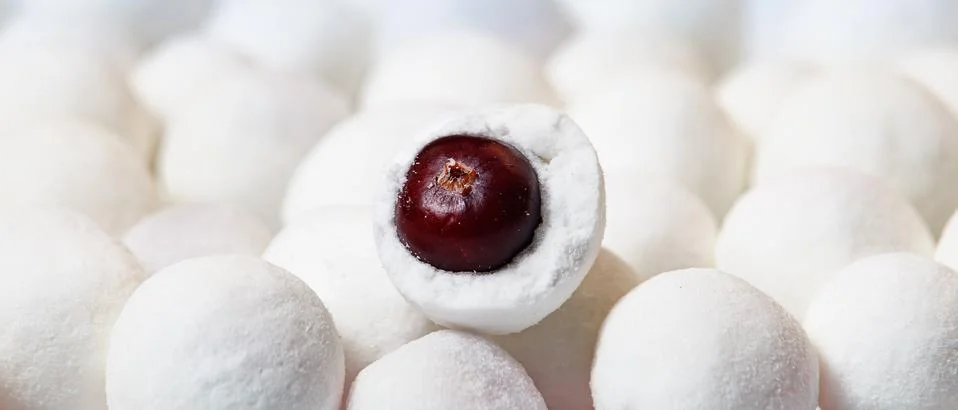 Closeup with selective focus of cranberries in sugar. Stock Photos